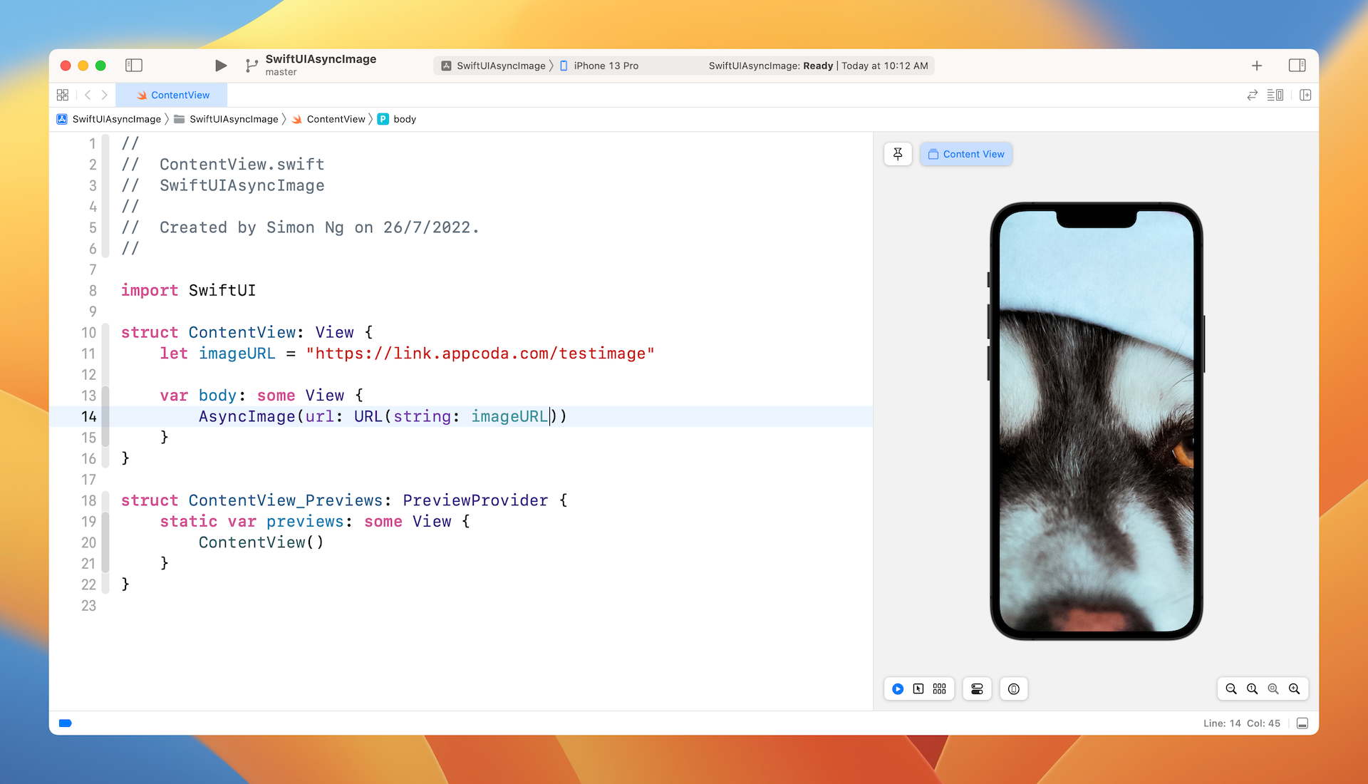 Figure 1. Using AsyncImage