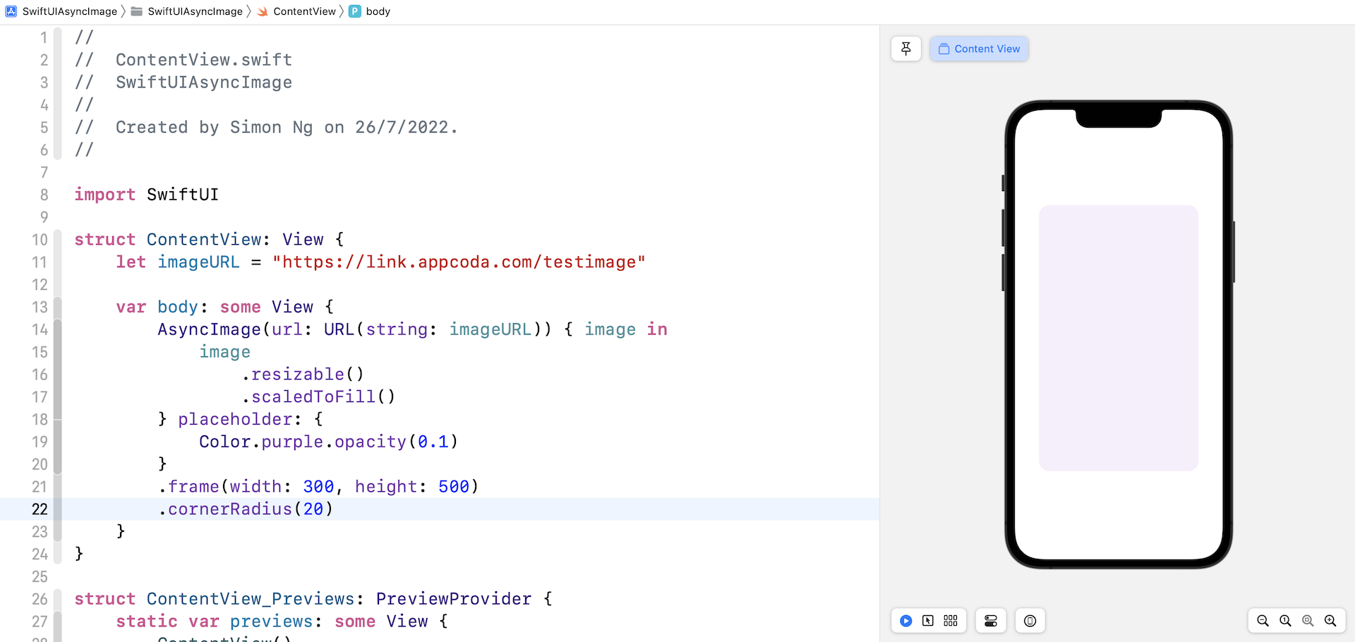 Figure 3. Customizing the placeholder
