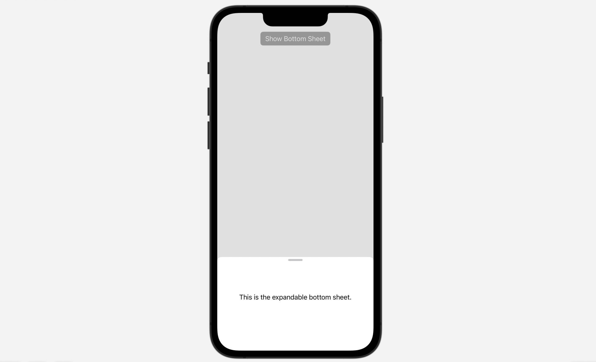 Figure 8. A sample fixed-size bottom sheet