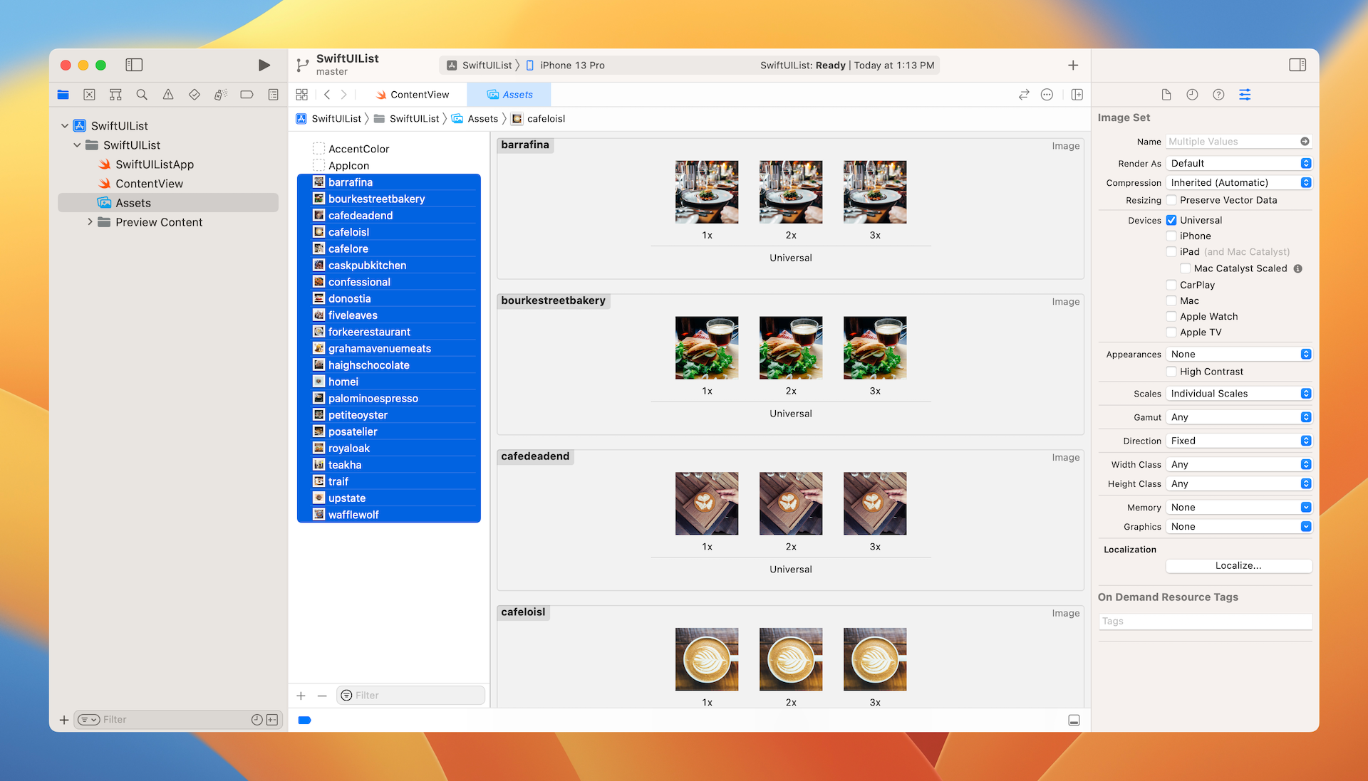 Figure 5. Import images to the asset catalog