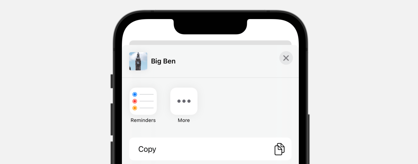 Figure 5. Displaying a share sheet with the image preview