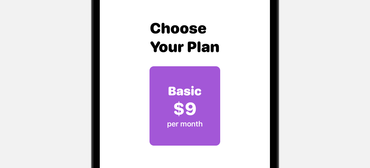 Figure 12. The Basic Plan